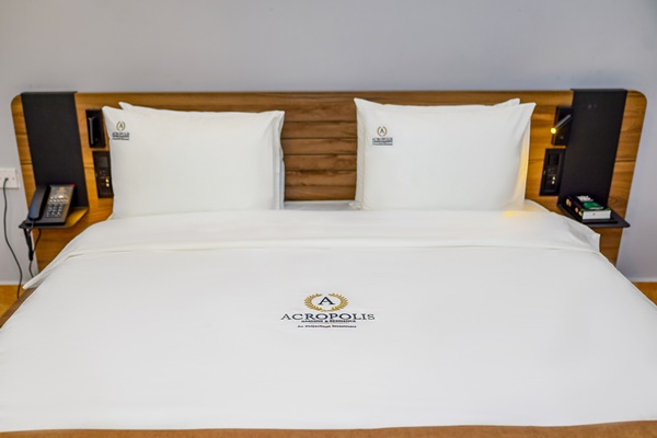 Ambassador - Image 1