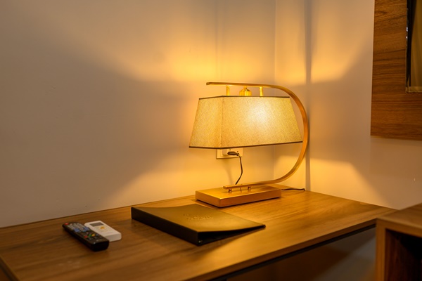 Ambassador - Image 3