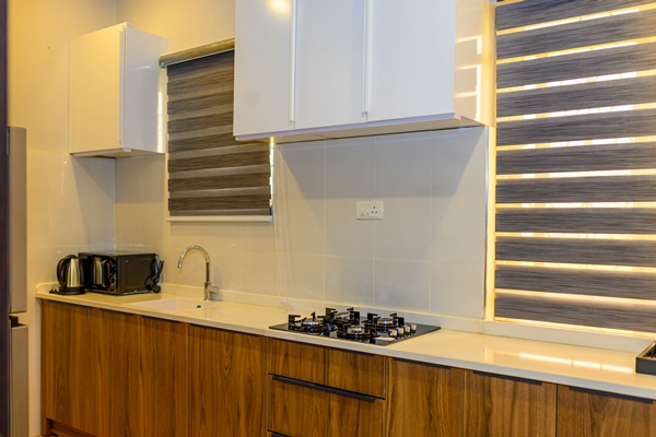 Ambassador - Image 7