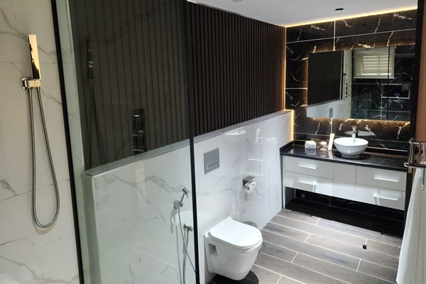 Standard 1 Bed Suite - Image 4